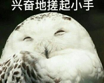 图1.png